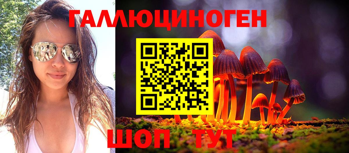Псилоцибиновые грибы Cubensis Узловая