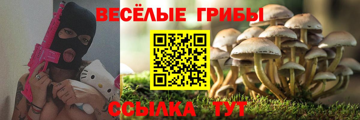 Узловая  Псилоцибиновые грибы GOLDEN TEACHER  Вход с VPN  купить наркоту  Псилоцибиновые грибы Cubensis 
